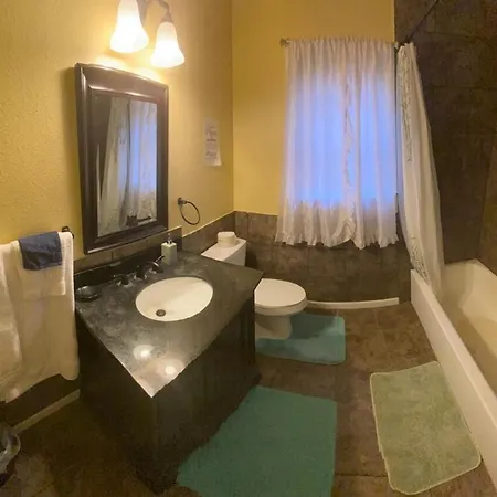 Charming 3 Bed 2 Bath Home In Ne San Antonio Room photo